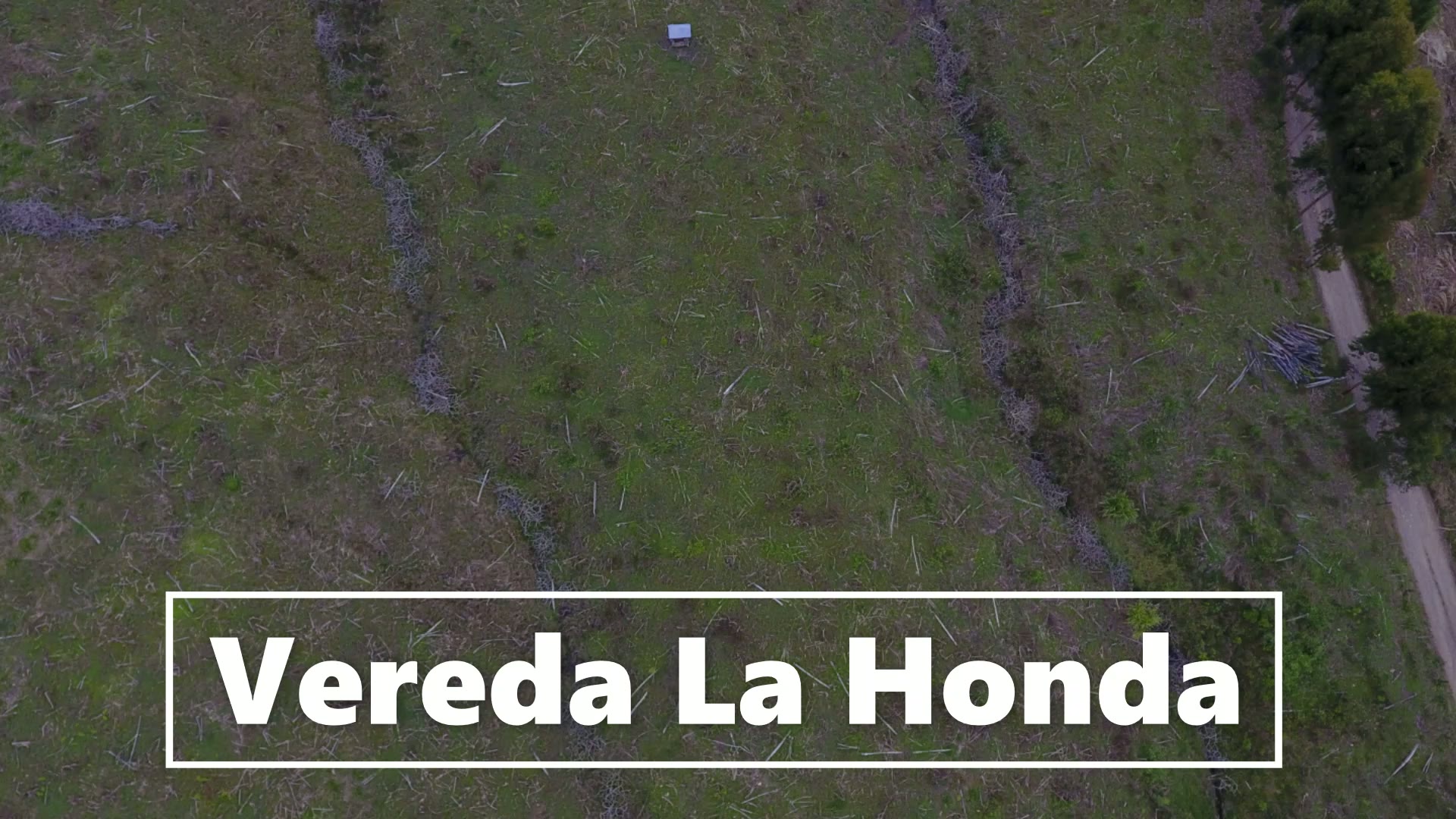 Vista aérea de la Finca Las Dos Palmas durante la preparación del terreno en 2021